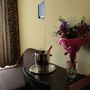 Мини-отель Demidov, Улучшенный двухместный номер, фото 14