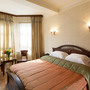 Бутик-отель Джентэльон, Двухместный стандартный номер с 1 кроватью, фото 9