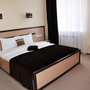 Отель Оазис, Двухместный стандартный номер с 1 кроватью, фото 17