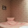 Хостел Калинка, Двухместный номер с двуспальной кроватью с общей ванной комнатой без окна, фото 49