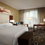 Гостиница Skypoint Luxe Hotel (Шератон Москва Шереметьево Аэропорт), Двухместный стандартный номер на клубном этаже с 1 кроватью, фото 24