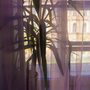 Хостел Васькин Дом, Вид в окно, фото 47