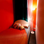 Хостел Тепло, Двухместный номер с одной двуспальной кроватью "оранж", фото 77