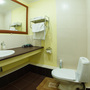 Гостиница Спутник, Люкс (ванная), фото 4