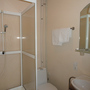 Мини-отель Ринальди Олимпия, Ванная комната в номере комфорт, фото 36