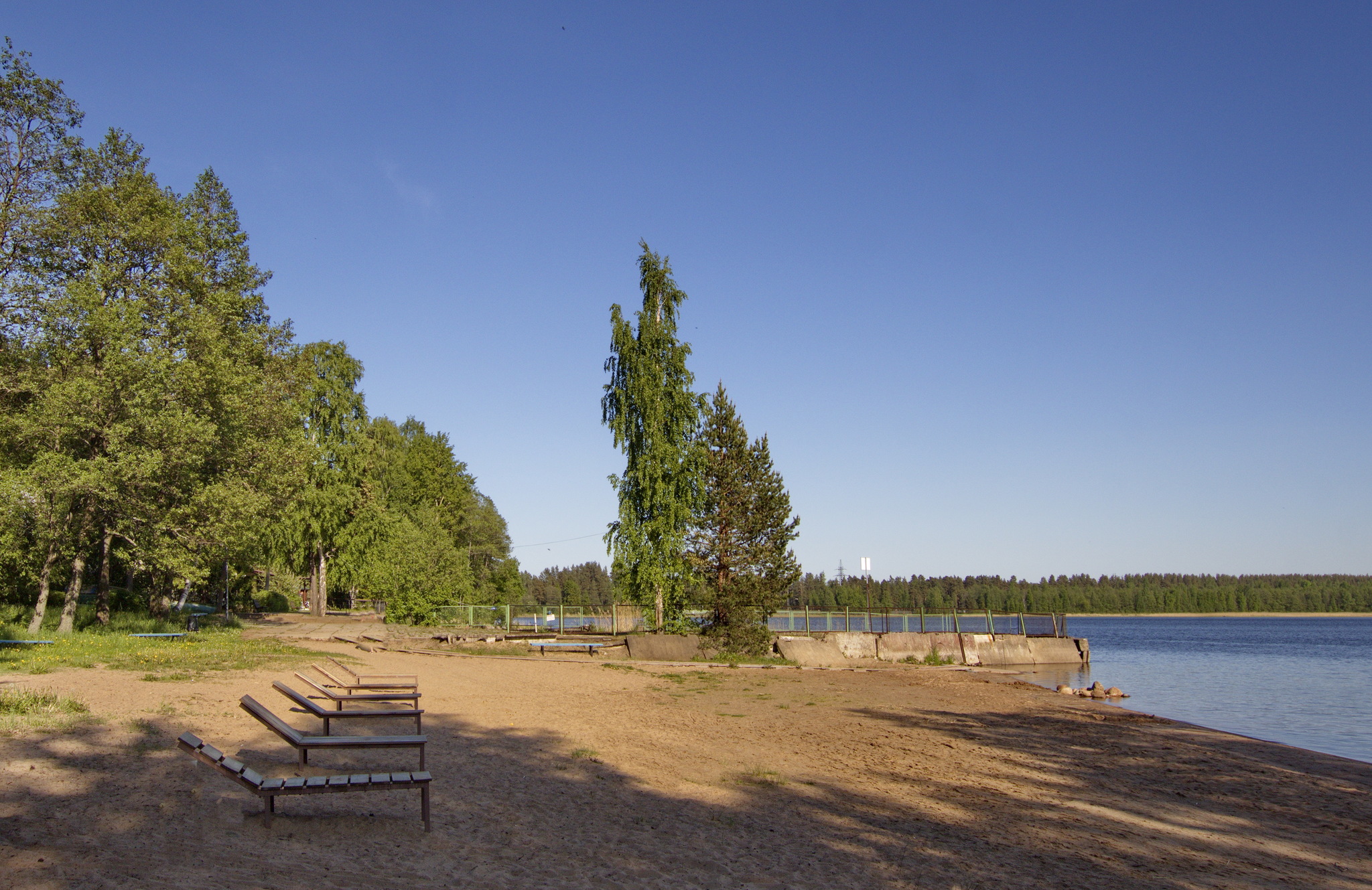 лосево парк