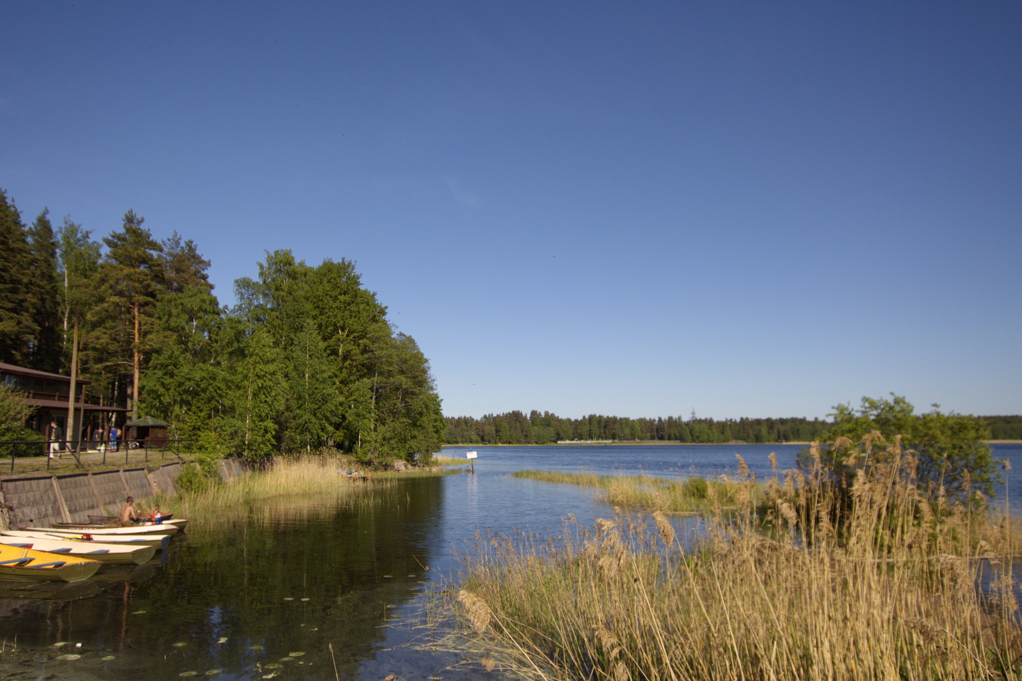 лосево парк