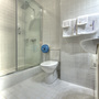 Отель Алекс на Богатырском, люкс (ванная комната), фото 15