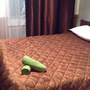 Мини-отель Лира, Двухместный номер с общей ванной комнатой, фото 15