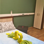 Хостел Трэвел Инн на Авиамоторной, Двухместный номер с 1 кроватью и общей ванной комнатой (Венеция), фото 8
