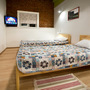 Хостел Матушка Россия, Двухместный номер с двумя отдельными кроватями, фото 7