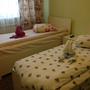 Мини-отель Успенка, двухместный номер с двумя отдельными кроватями, фото 17