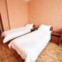 Гостиница Россия, Двухместный стандартный номер с 2 кроватями, фото 19