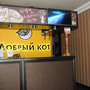Отель Добрый кот, стойка регистрации, фото 19