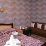 Мини-отель Дворики, Двухместный стандартный номер с 1 кроватью, фото 18