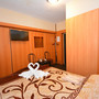 Мини-отель БТИ, Двухместный стандартный номер с 1 кроватью, фото 7