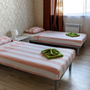 Отель Аэропоинт Шереметьево, Двухместный номер Делюкс с 2 отдельными кроватями, фото 18