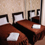 Отель Алтай, Двухместный номер с 2 кроватями, фото 6