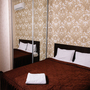 Отель Алтай, Двухместный стандартный номер с 1 кроватью, фото 11