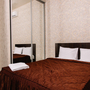 Отель Алтай, Двухместный стандартный номер с 1 кроватью, фото 14