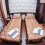 Отель Граф Толстой, Двухместный стандартный номер, фото 27