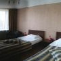 Отель Золотая долина, Двухместный стандартный номер с 2 кроватями, фото 19