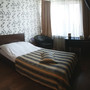 Отель Золотая долина, Двухместный стандартный номер с 1 кроватью, фото 24