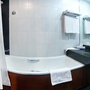 Гостиница Benefit Plaza Congress Hotel, ванная комната стандарт, фото 4