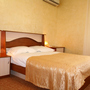 Отель Валенсия, Двухместный стандартный номер с 1 кроватью, фото 10