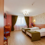 Арт-отель Карелия, Двухместный номер с двумя раздельными кроватями, фото 16