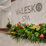Гостиница Valesko hotel & spa, SPA-ЦЕНТР, фото 42