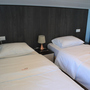 Гостиница Элеон Домодедово, Двухместный номер с 2 кроватями, фото 16