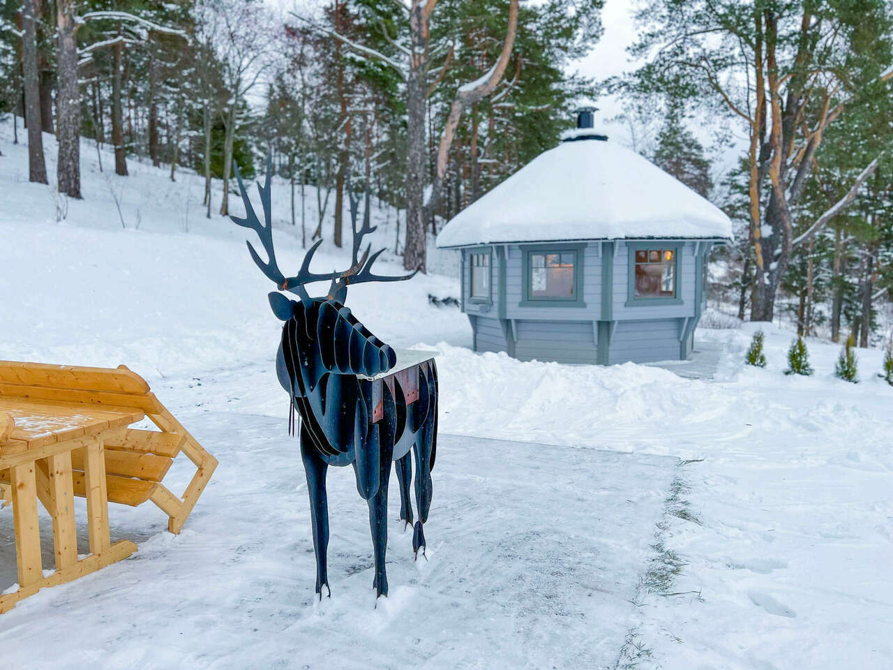 Терве ранта. Терва ранта Куркиеки. Терве ранта Карелия. Гостиница Терве ранта.