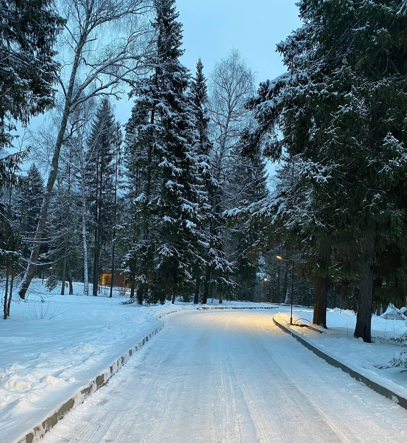 Парк отель руза форест