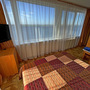 Отель Россия, Панорамный номер с 1 двуспальной кроватью, фото 22